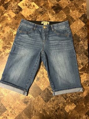 Democracy Jean Shorts